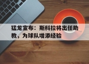 亚博体育-猛龙宣布：斯科拉将出任助教，为球队增添经验