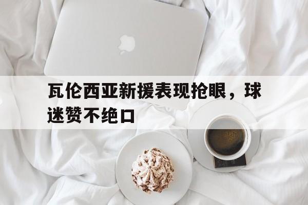 瓦伦西亚新援表现抢眼，球迷赞不绝口