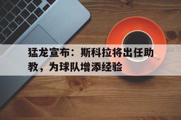 猛龙宣布：斯科拉将出任助教，为球队增添经验